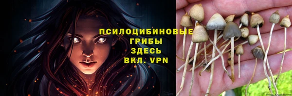 дживик Вяземский