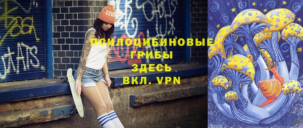 дживик Вяземский