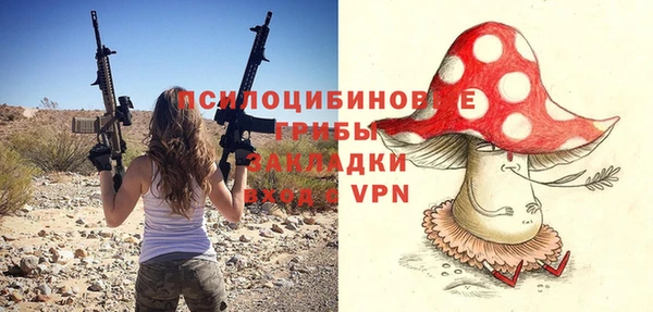 дживик Вяземский