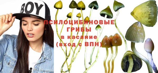 хмурый Вязники