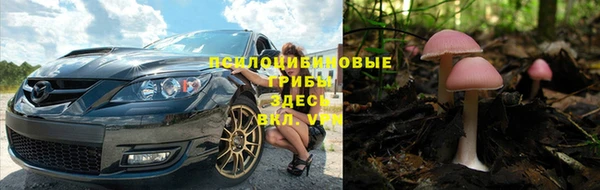 хмурый Вязники