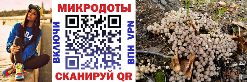 Псилоцибиновые грибы Psilocybe  Электрогорск 
